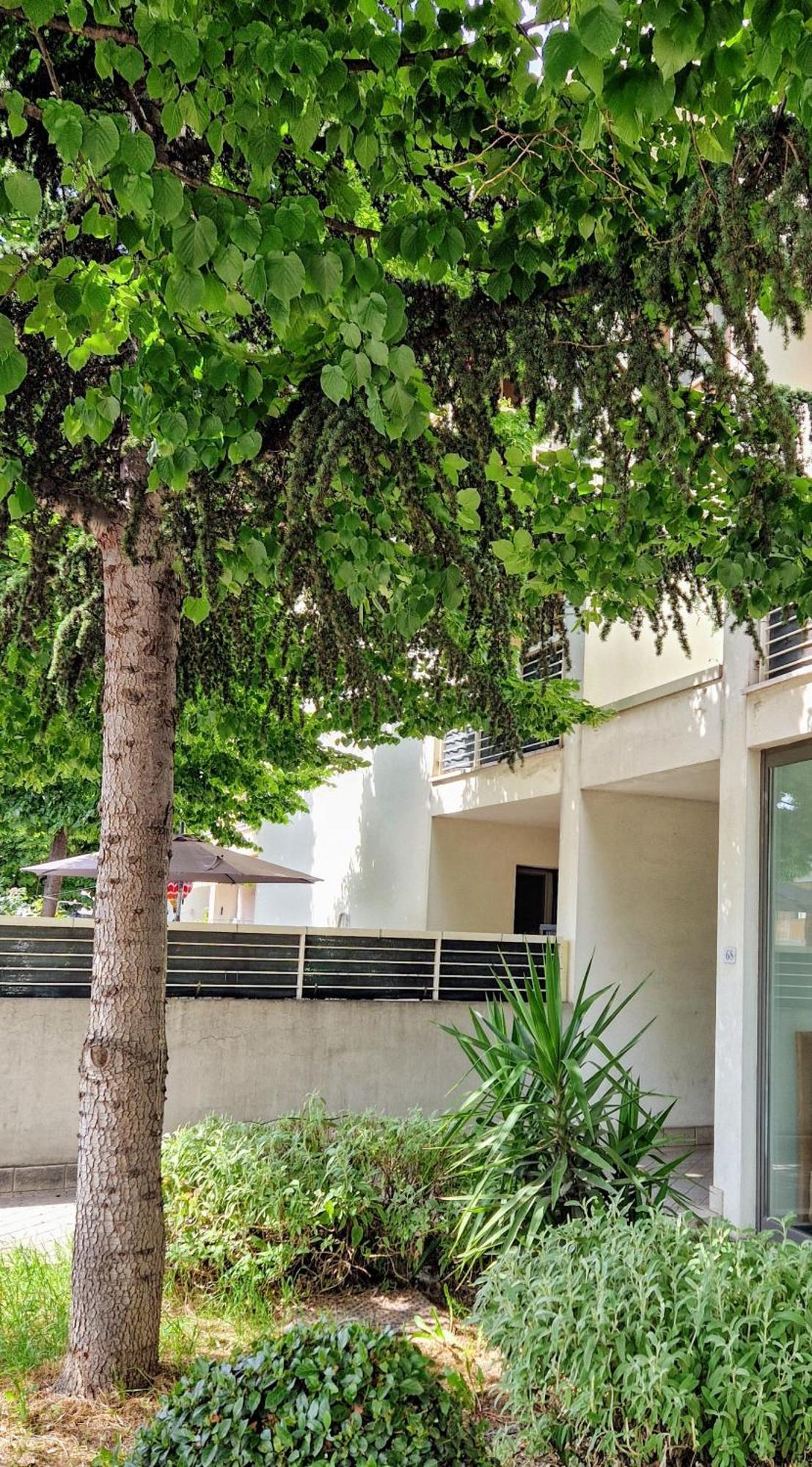 Dolcenido Meyer Firenze Apartment ภายนอก รูปภาพ